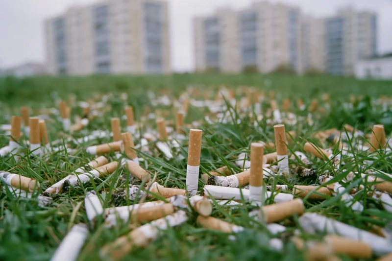 Cigarette butts scattered densely across grass in front of apartment buildings