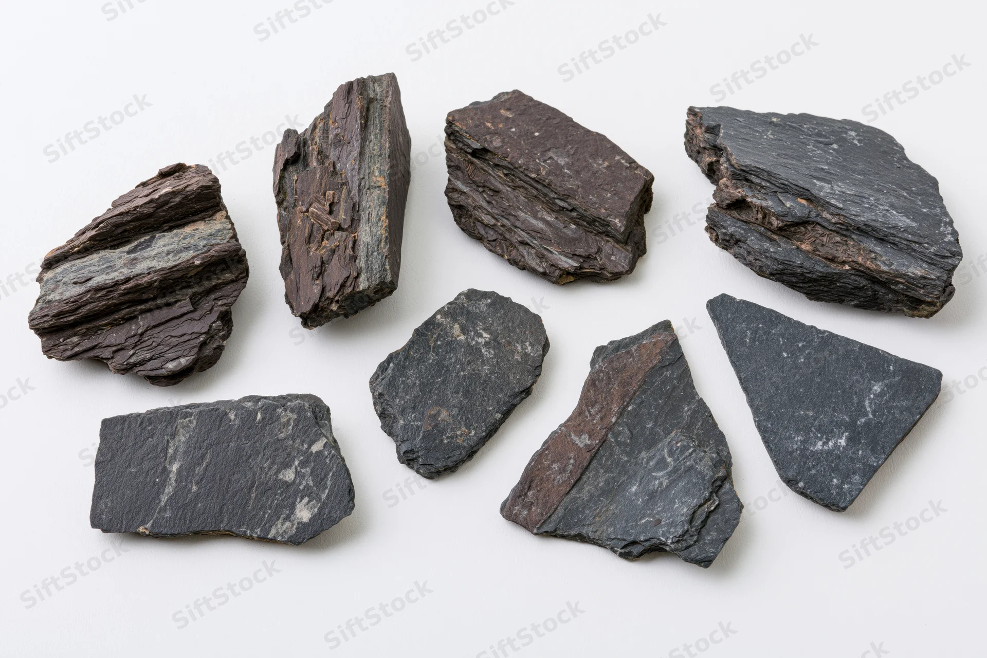 Eight rough dark shale rock specimens arranged in a loose scatter on white background