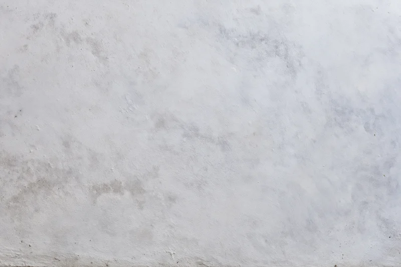 Textured concrete wall surface filling the frame as a neutral backdrop