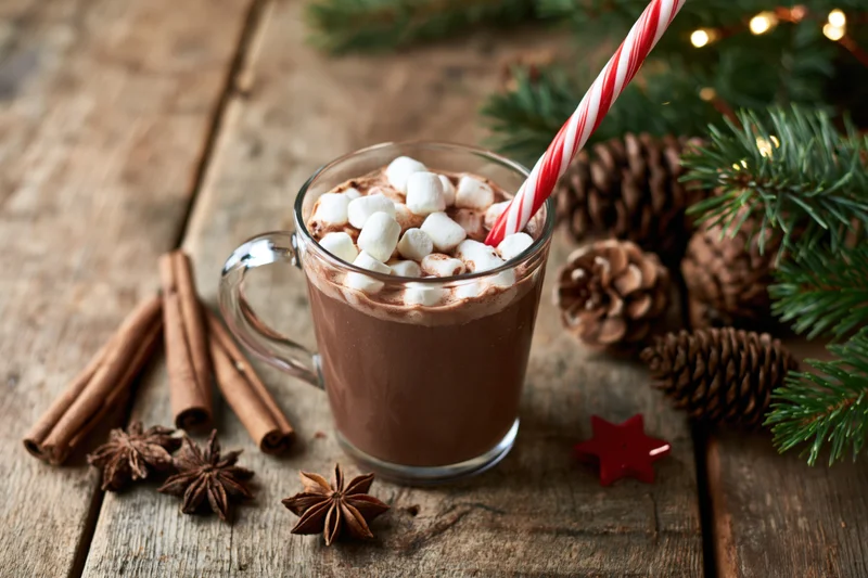 Glass mug of hot chocolate with marshmallows and a striped straw on a wooden table surrounded by pinecones, cinnamon sticks, and evergreen branches for christmas