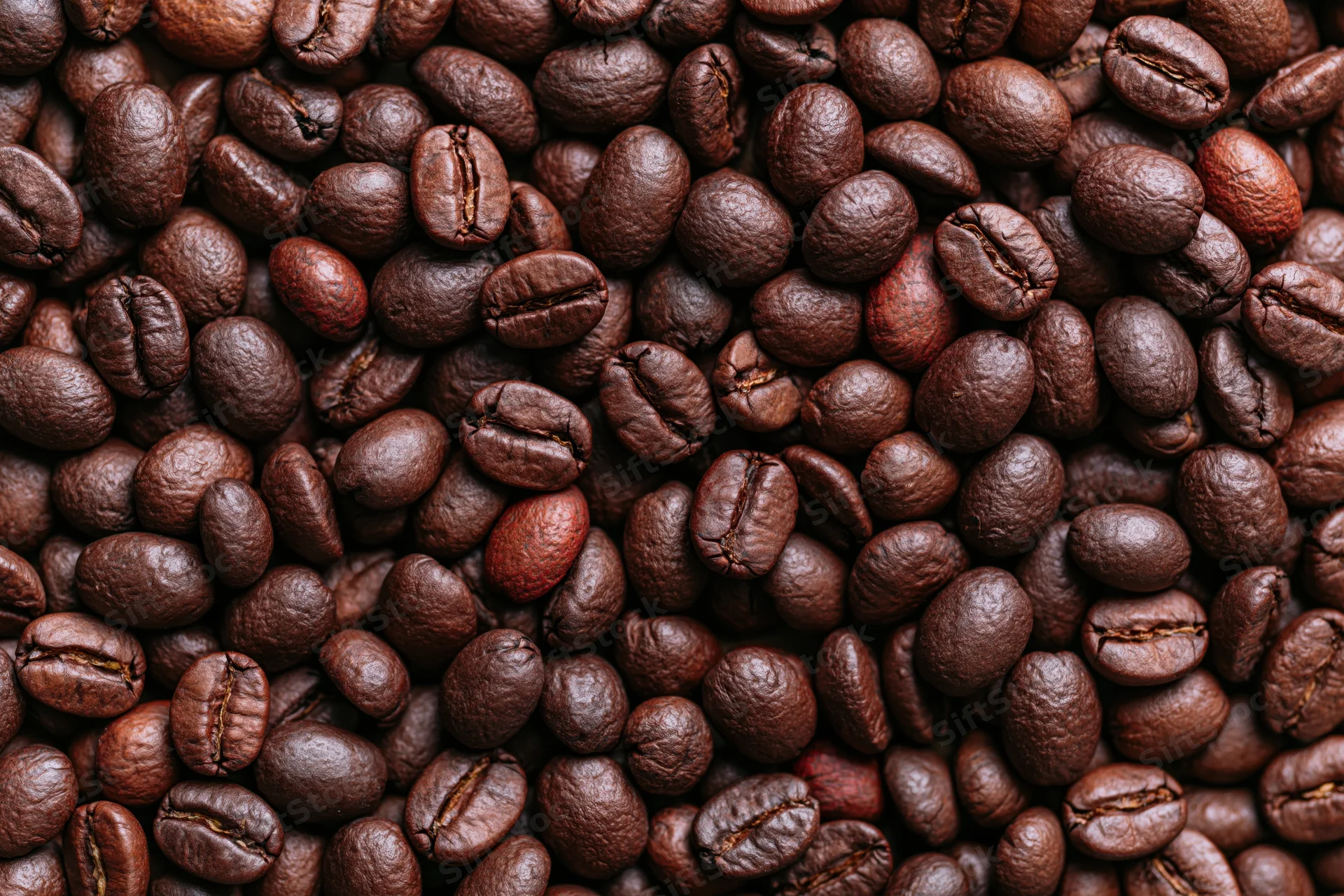 Dark roasted coffee beans filling the frame in a close-up view