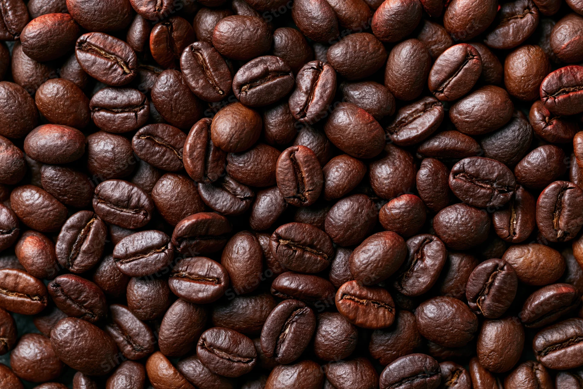 Dark roasted coffee beans filling the frame in closeup view