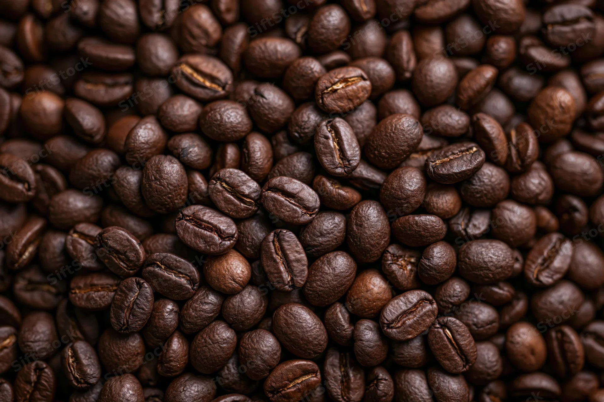 Dark roasted coffee beans filling the frame in closeup view