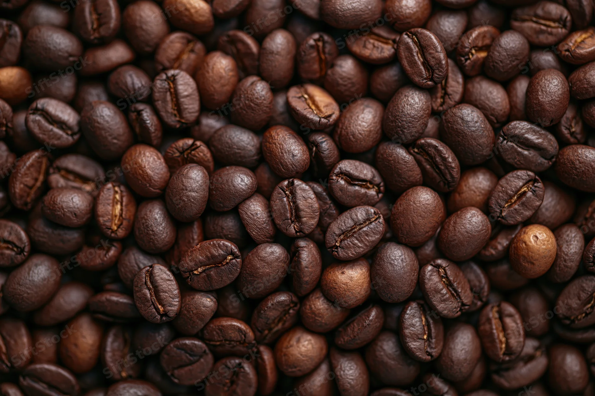 Dark roasted coffee beans filling the frame in a close-up view