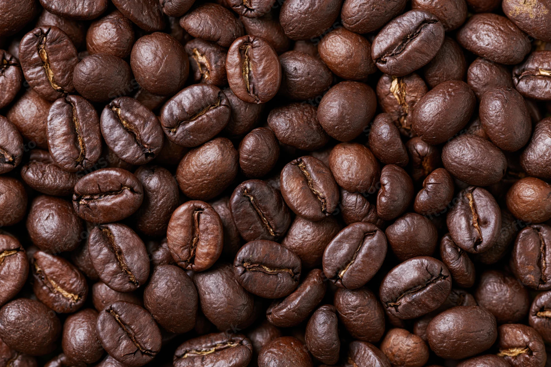 Closeup of roasted coffee beans filling the frame