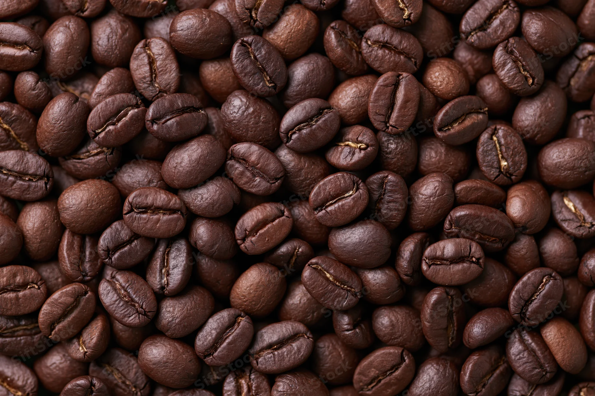 Closeup of roasted coffee beans filling the frame with rich dark brown texture
