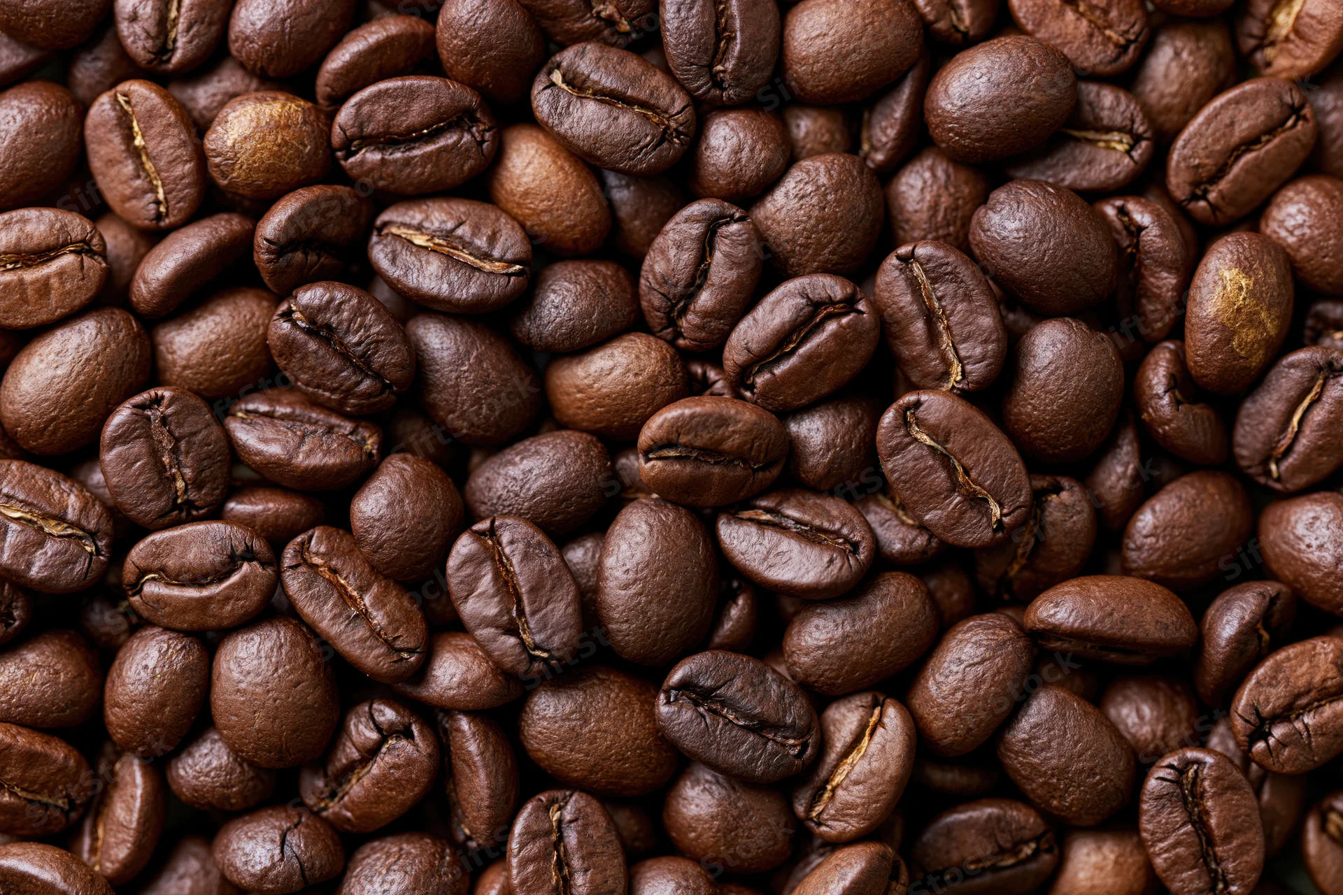 Closeup of roasted coffee beans filling the frame