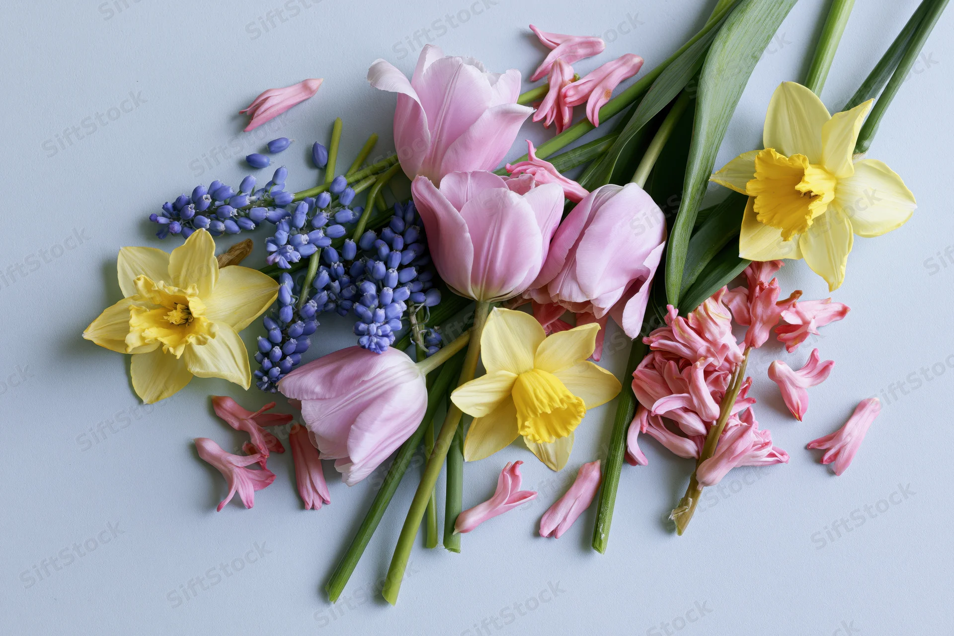 Loose arrangement of pink tulips, blue muscari, and yellow daffodils on a light surface