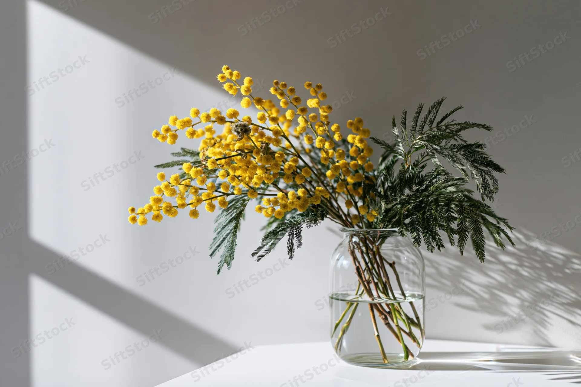Yellow mimosa bouquet in a glass vase on a white table with sunlight casting shadows