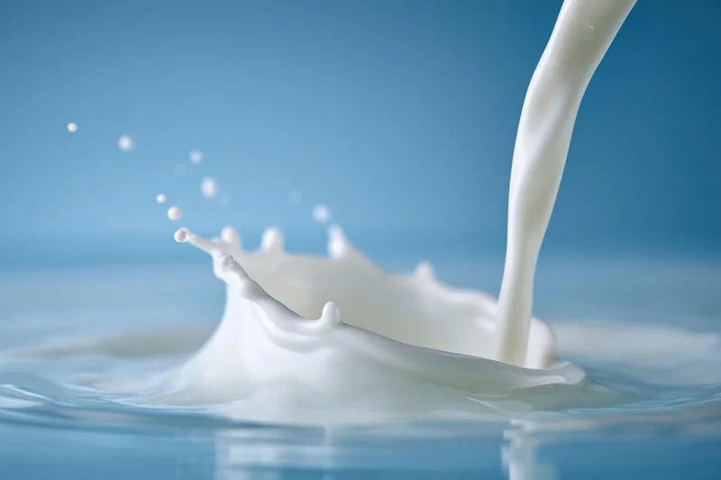 Milk being poured into a shallow pool creating a crown splash against a blue background