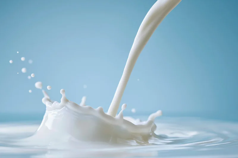 Milk being poured into a shallow pool creating a crown splash against a blue background