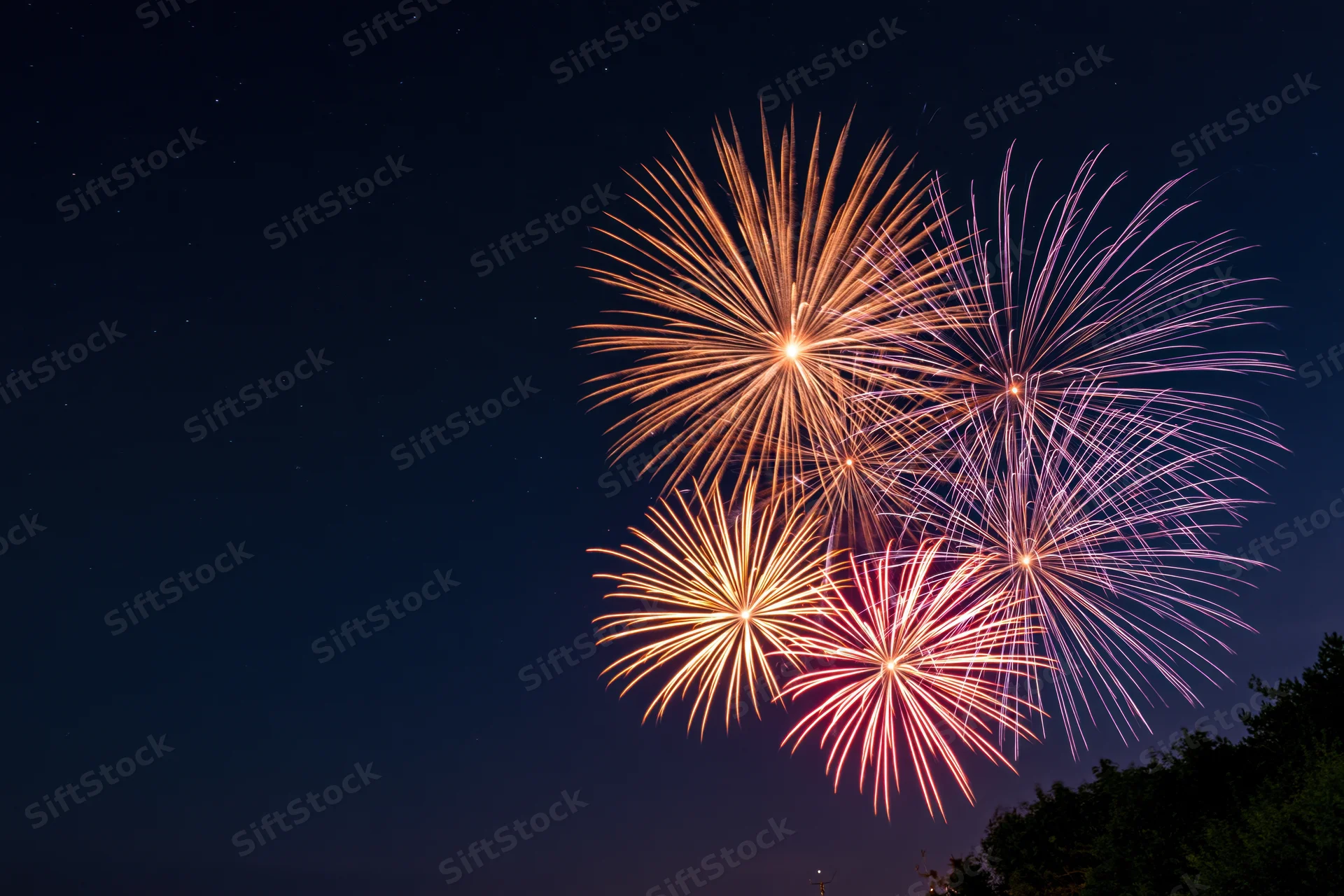 Fireworks bursting in the night sky above tree silhouettes