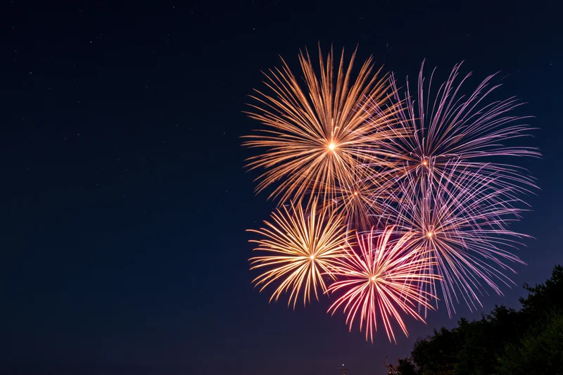 Fireworks bursting in the night sky above tree silhouettes
