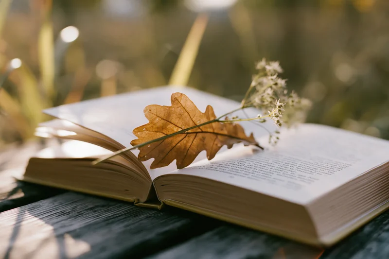 Open hardcover book with dried oak leaf and white flower resting on weathered wooden surface outdoors in sunlight