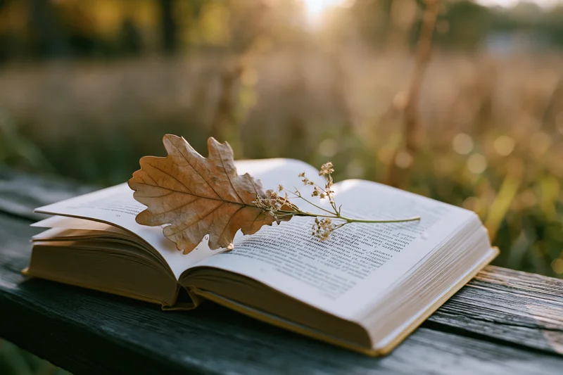 Open hardcover book with dried oak leaf resting on weathered wooden bench outdoors in autumn field at golden hour