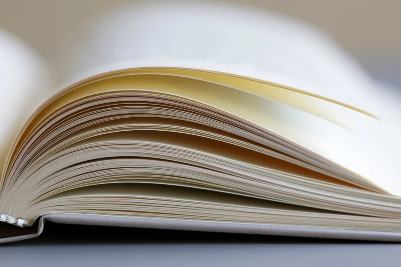 Open hardcover book with pages fanned wide on a flat surface
