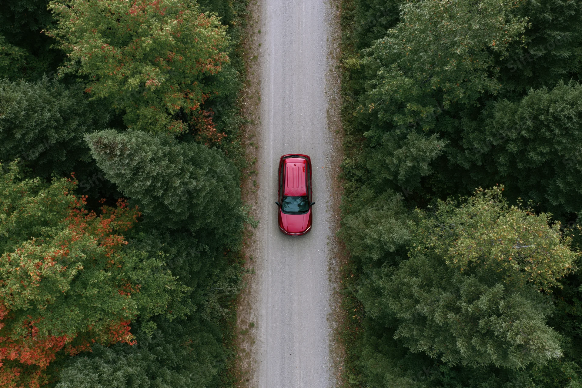 Red compact suv driving on narrow gravel road through forested area