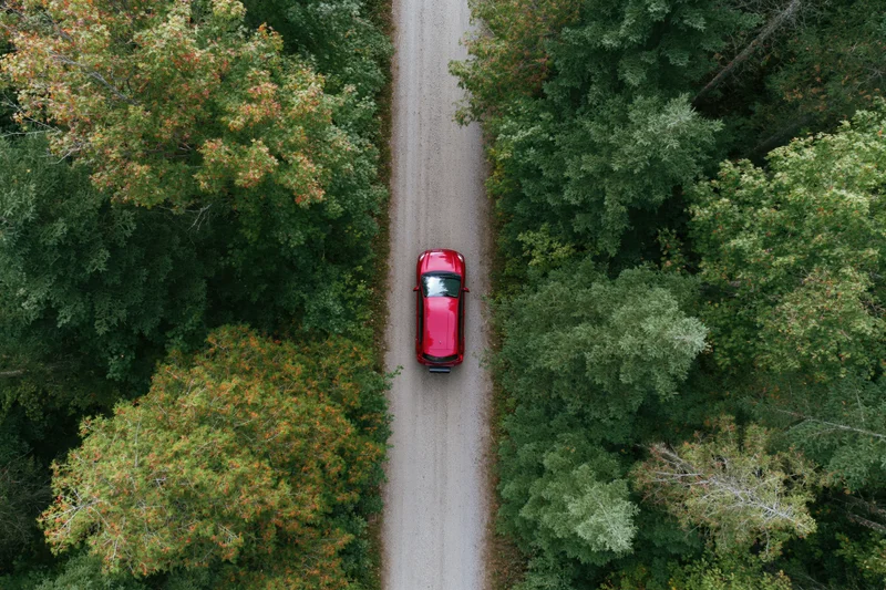 Red compact suv driving on narrow gravel road through forested area