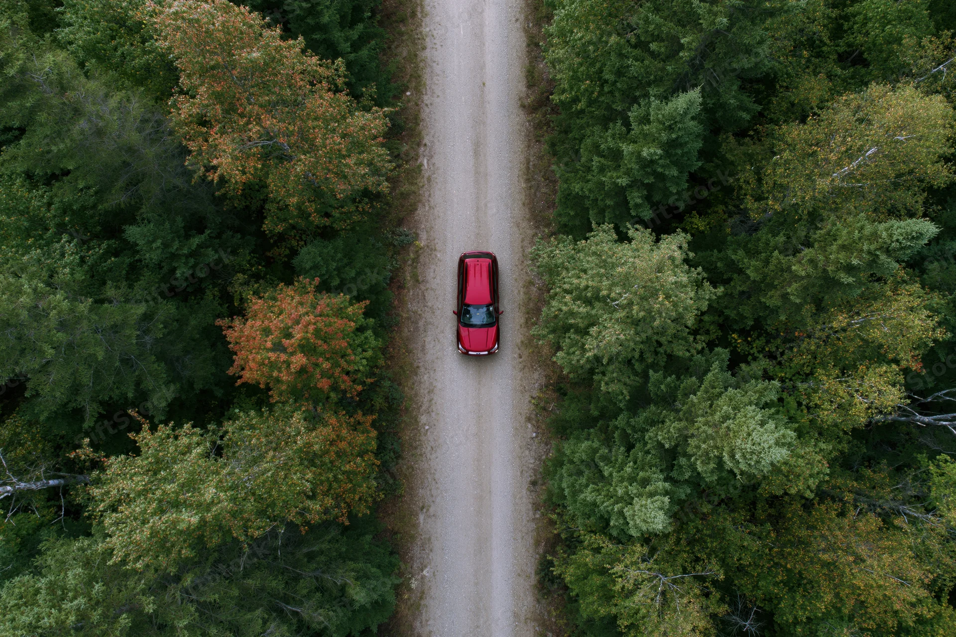 Red compact suv driving on narrow gravel road through dense forest in autumn