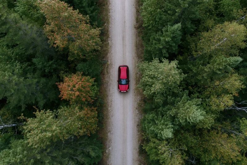 Red compact suv driving on narrow gravel road through dense forest in autumn