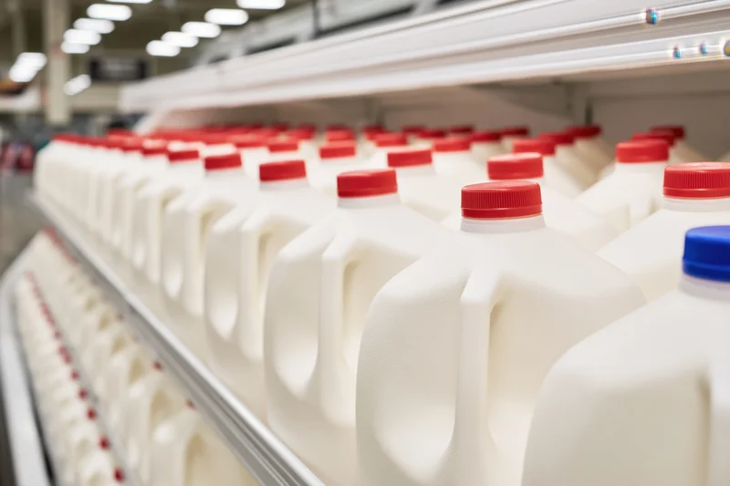 Rows of one-gallon plastic milk jugs with red caps on a refrigerated supermarket shelf