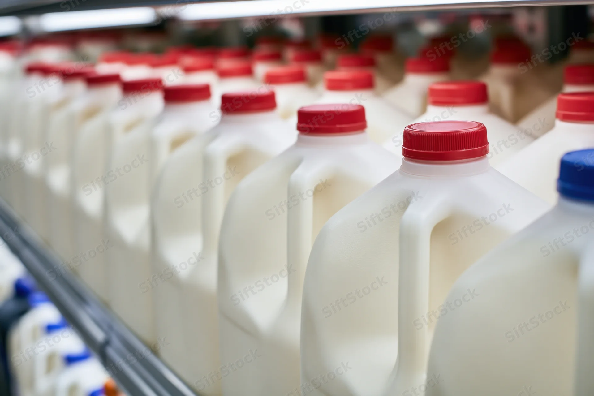 Rows of one-gallon plastic milk jugs with red caps on a refrigerated grocery store shelf