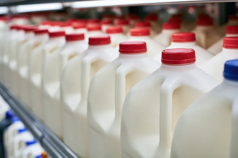 Rows of one-gallon plastic milk jugs with red caps on a refrigerated grocery store shelf