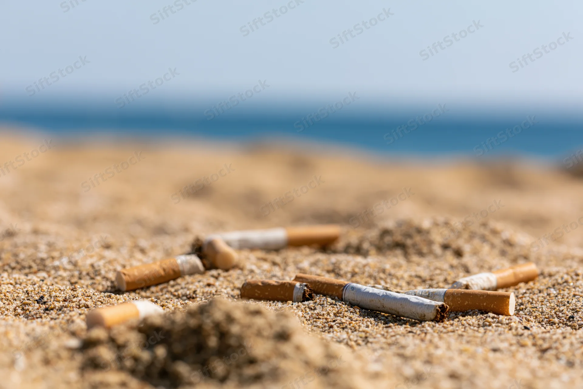 Cigarette butts scattered on sandy beach near ocean