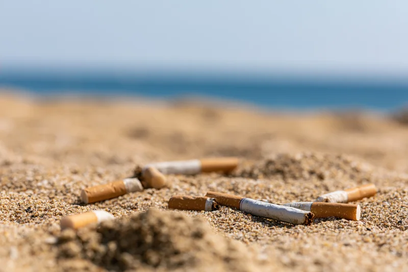 Cigarette butts scattered on sandy beach near ocean