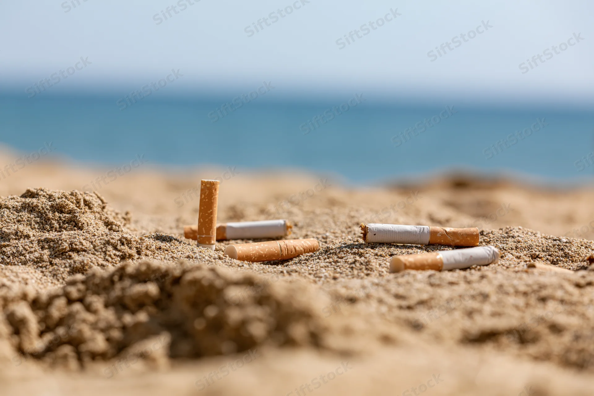 Cigarette butts scattered on sandy beach near ocean