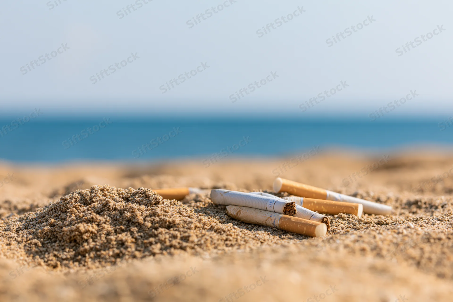 Cigarette butts scattered on sandy beach near ocean
