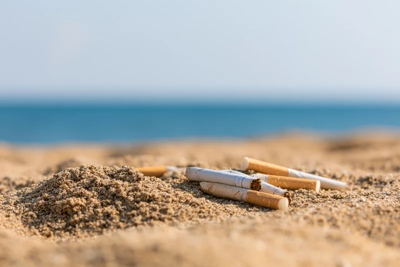 Cigarette butts scattered on sandy beach near ocean