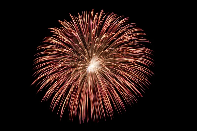 Single firework burst exploding in the night sky
