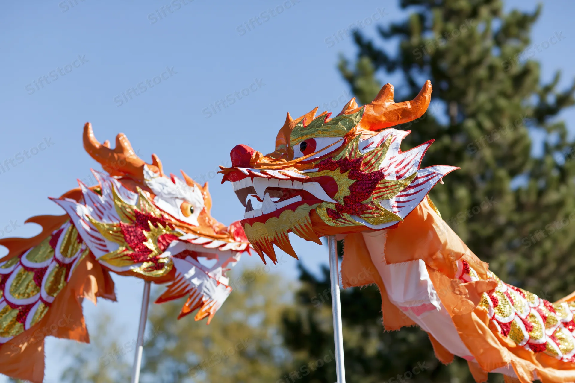 Two traditional chinese dragon dance heads on poles outdoors under blue sky