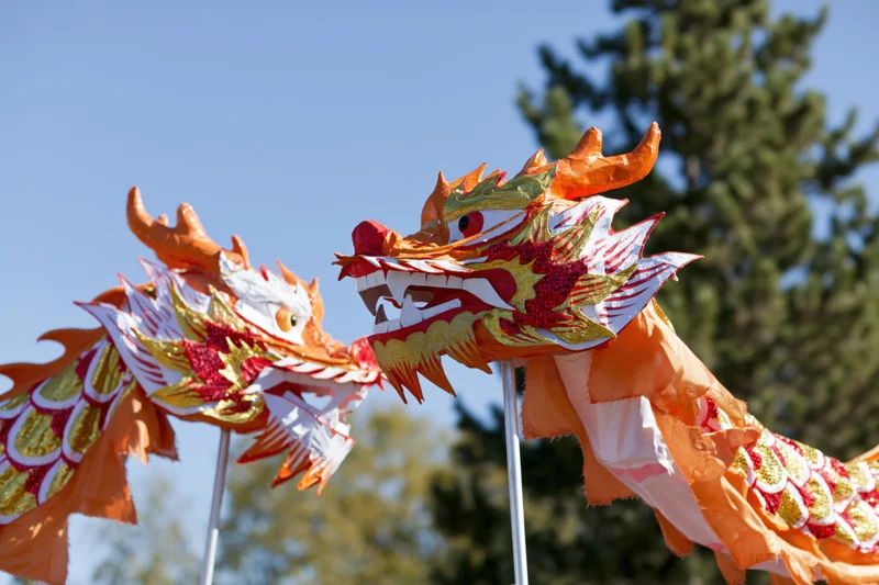 Two traditional chinese dragon dance heads on poles outdoors under blue sky