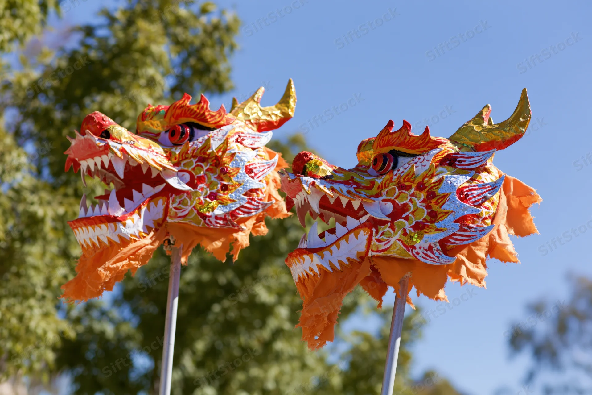 Two traditional chinese dragon dance heads on poles outdoors under blue sky with trees in background