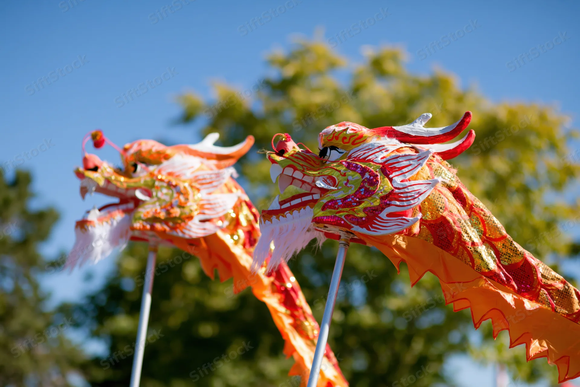 Two traditional chinese dragon dance heads held aloft on poles outdoors under blue sky