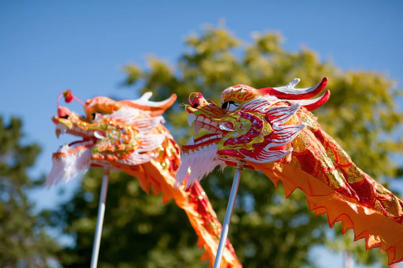 Two traditional chinese dragon dance heads held aloft on poles outdoors under blue sky