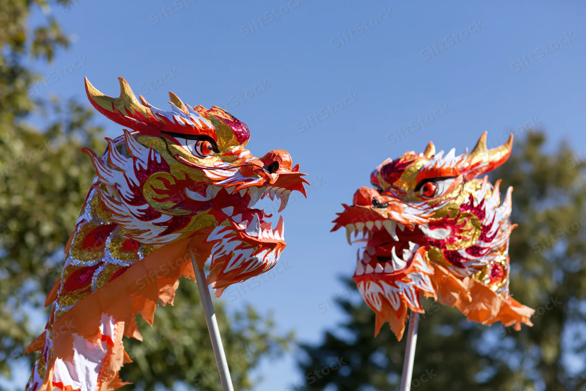 Two traditional chinese dragon dance heads on poles against a blue sky with trees in the background