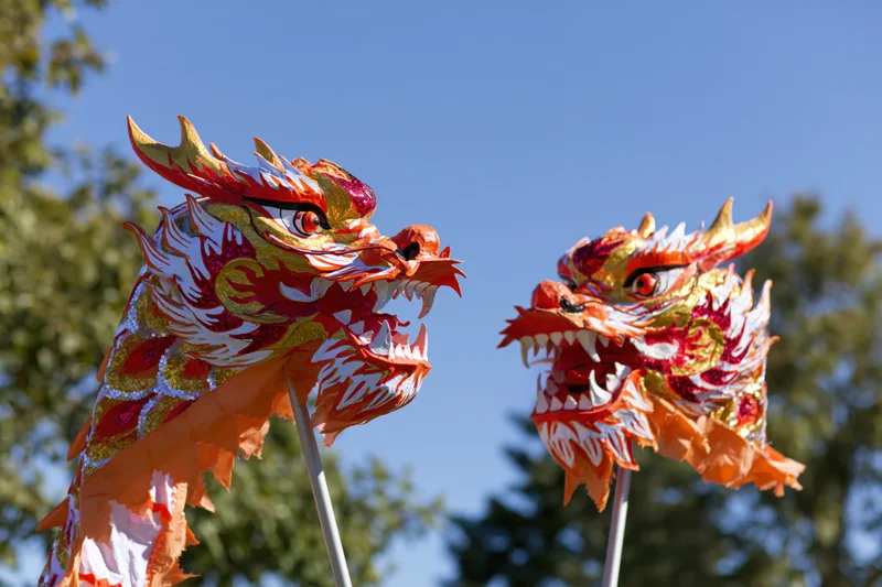 Two traditional chinese dragon dance heads on poles against a blue sky with trees in the background