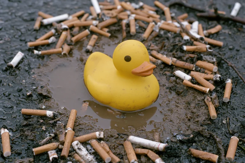 Yellow rubber duck floating in a muddy puddle surrounded by cigarette butts