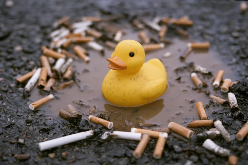 Yellow rubber duck floating in a muddy puddle surrounded by cigarette butts on a wet street