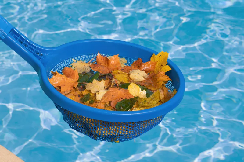 Blue plastic pool skimmer net holding autumn leaves above swimming pool water