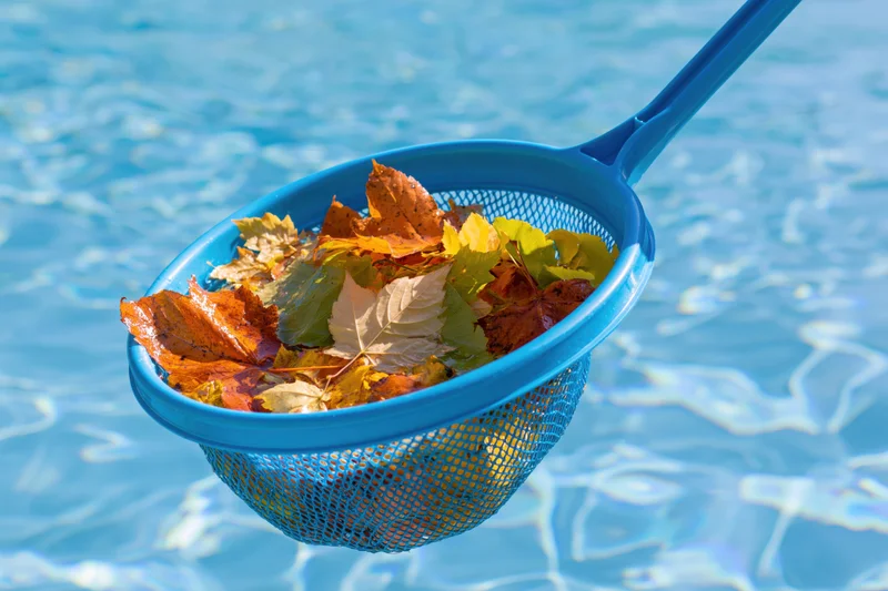 Blue plastic pool skimmer net holding autumn leaves above clear swimming pool water