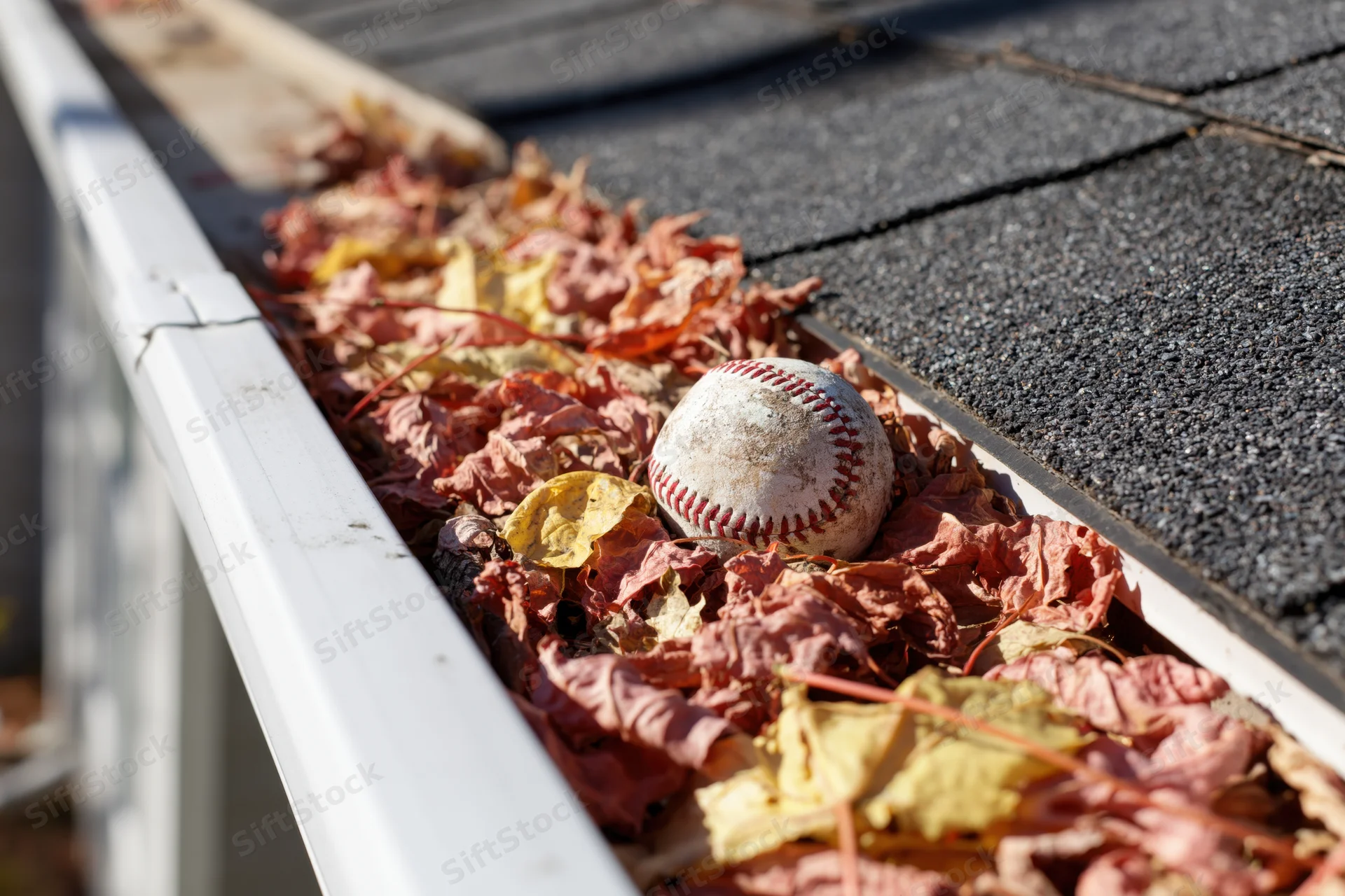 A dirty baseball resting among dry autumn leaves in a clogged residential rain gutter