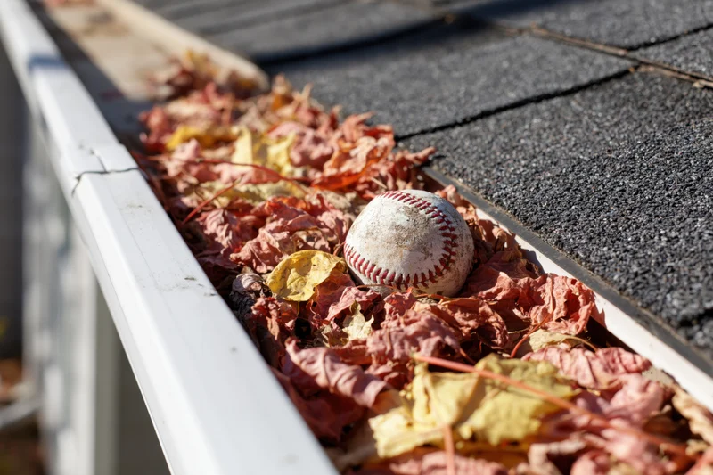 A dirty baseball resting among dry autumn leaves in a clogged residential rain gutter