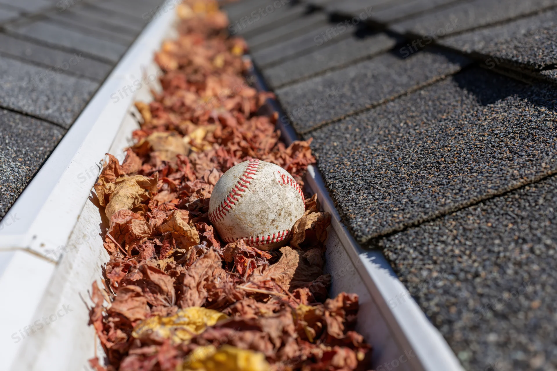Baseball resting in a clogged residential gutter filled with dry autumn leaves on a shingled roof