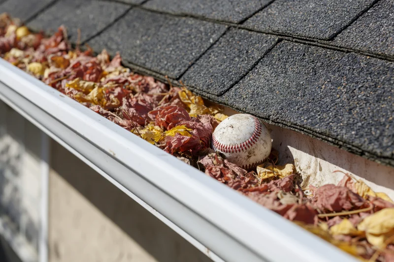 Clogged residential rain gutter filled with dry autumn leaves and a baseball on a shingled roof