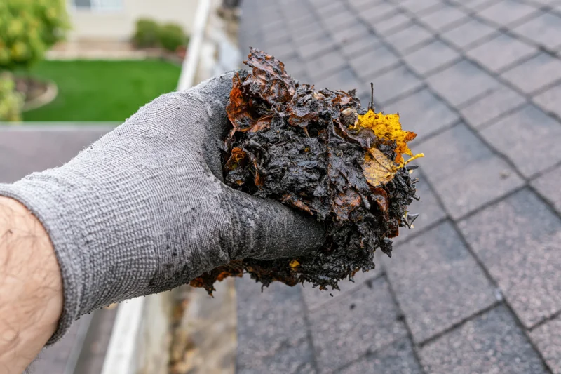Gloved hand holding clump of wet decomposed leaves and debris above roof gutter