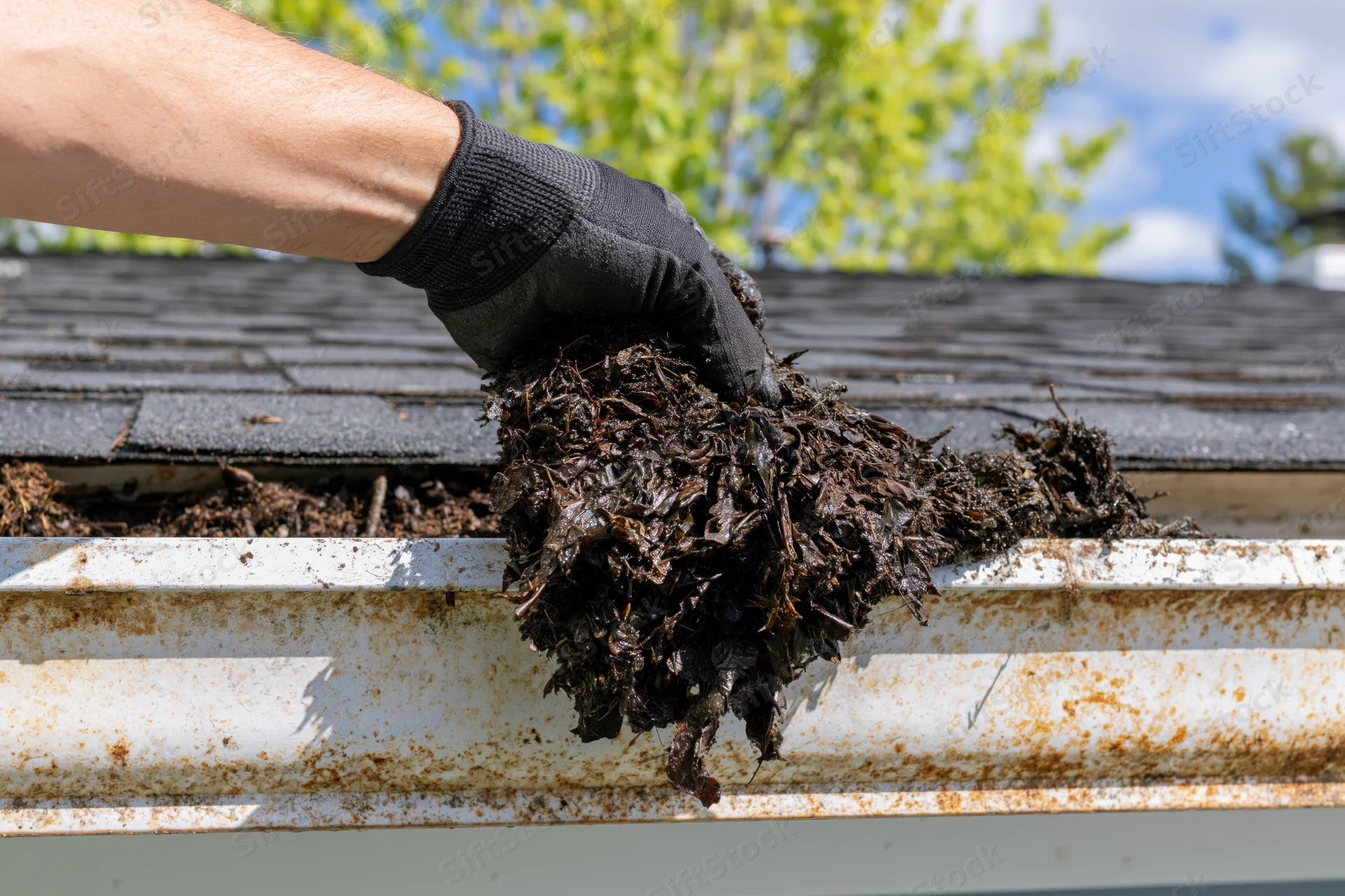 Gloved hand pulling wet decomposed leaves from a rusty gutter on a roof